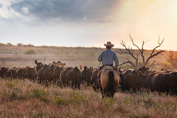 AdobeStock_567215355